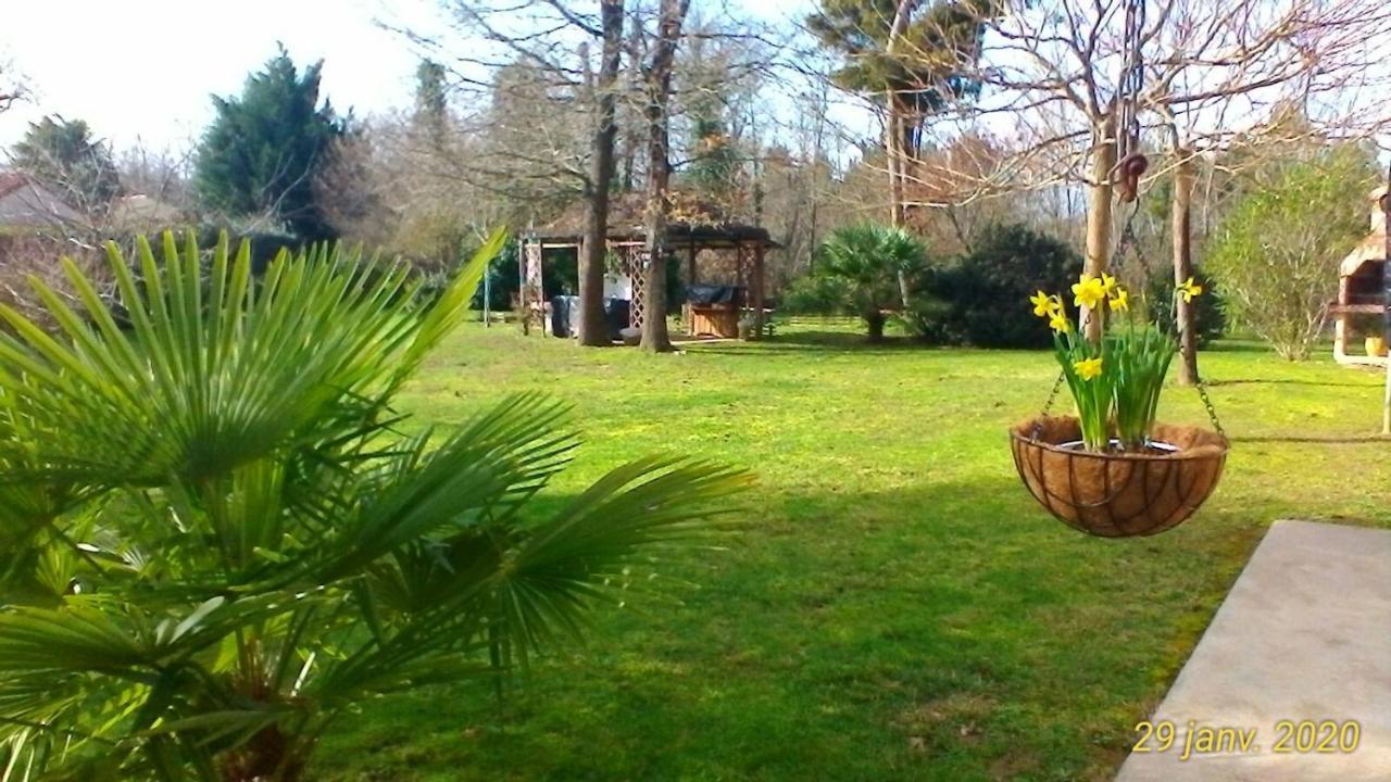 Le Clos Des Palombes Wifi Climatisation Saint-Pierre-du-Mont  Buitenkant foto