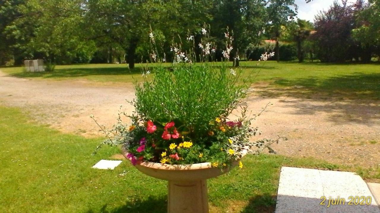 Le Clos Des Palombes Wifi Climatisation Saint-Pierre-du-Mont  Buitenkant foto