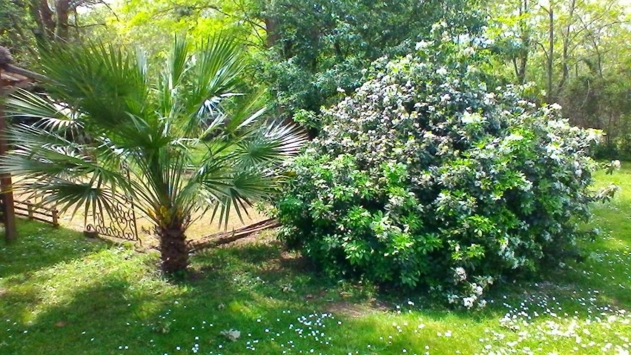 Le Clos Des Palombes Wifi Climatisation Saint-Pierre-du-Mont  Buitenkant foto