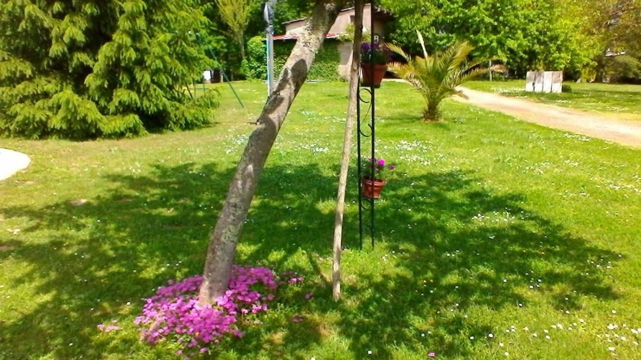 Le Clos Des Palombes Wifi Climatisation Saint-Pierre-du-Mont  Buitenkant foto